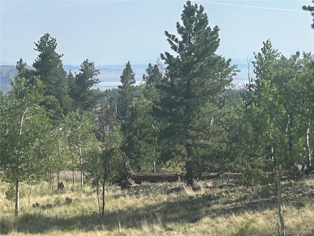 3361 Singletree Rd, Hartsel, CO 80449 - photo 8