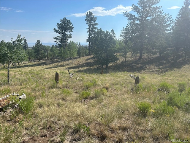 3361 Singletree Rd, Hartsel, CO 80449 - photo 9
