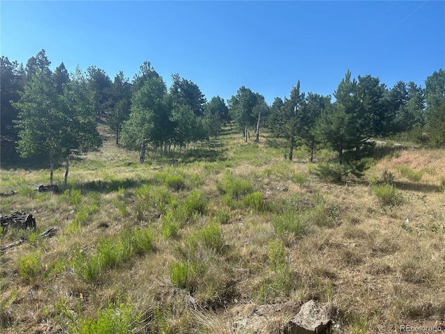 3361 Singletree Rd, Hartsel, CO 80449 - photo 10