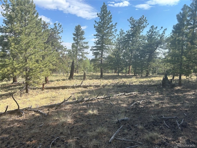 3361 Singletree Rd, Hartsel, CO 80449 - photo 11