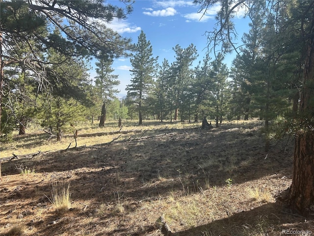 3361 Singletree Rd, Hartsel, CO 80449 - photo 12