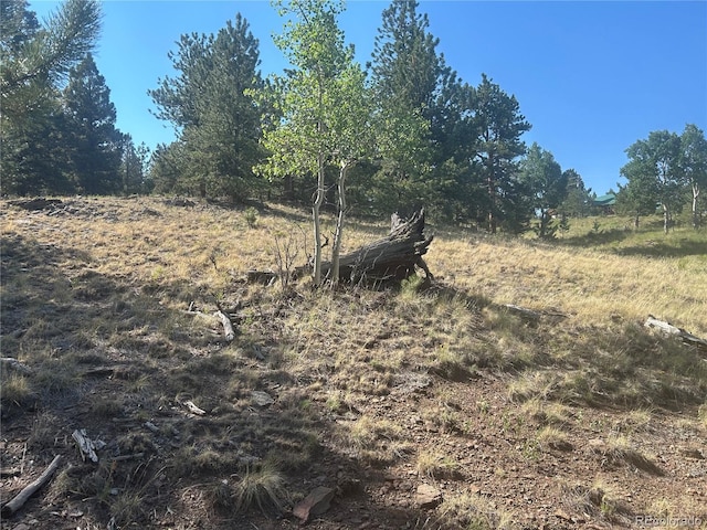 3361 Singletree Rd, Hartsel, CO 80449 - photo 13