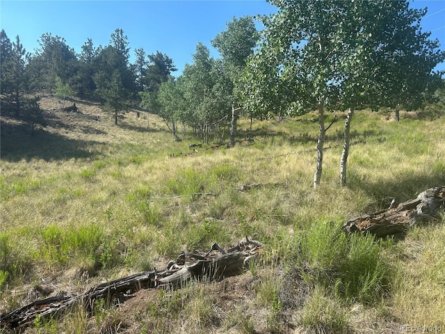 3361 Singletree Rd, Hartsel, CO 80449 - photo 14