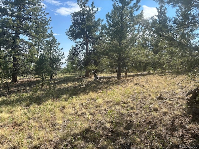 3361 Singletree Rd, Hartsel, CO 80449 - photo 15