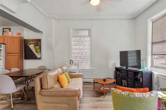 2087 S Grant St, Denver, CO 80210 - living room with ornamental molding, a ceiling fan, light wood-style floors, and baseboard heating