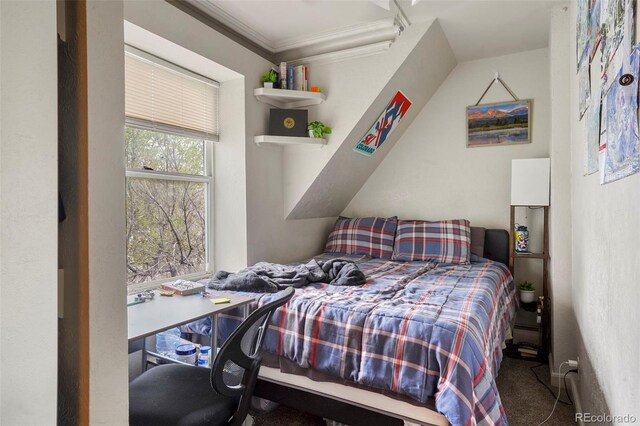 2087 S Grant St, Denver, CO 80210 - bedroom with crown molding and carpet floors