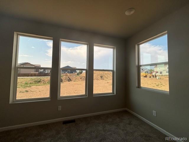 1713 Jennifer St, Brighton, CO 80601 - photo 29