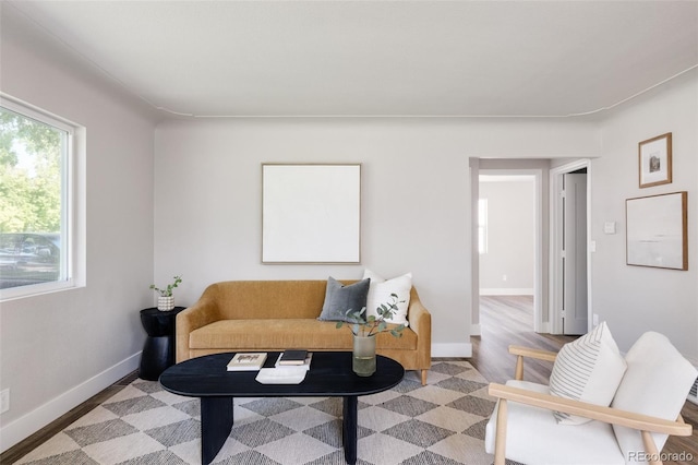 living room featuring hardwood / wood-style floors