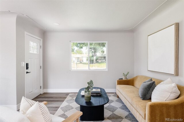 living room with hardwood / wood-style flooring