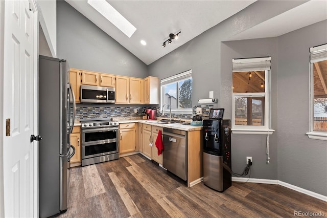 12119 Forest St, Thornton, CO 80241 - kitchen featuring appliances with stainless steel finishes, a skylight, light brown cabinetry, a sink, and decorative backsplash