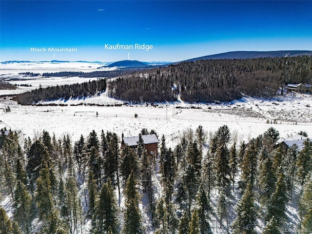 snowy aerial view featuring a mountain view