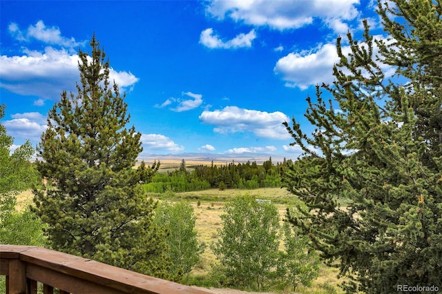 1424 Bluestem Way, Fairplay, CO 80440 - view of yard featuring a rural view