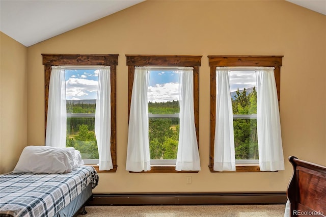 1424 Bluestem Way, Fairplay, CO 80440 - bedroom with lofted ceiling, multiple windows, and baseboard heating