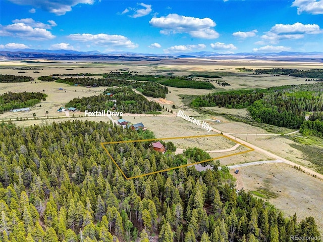 1424 Bluestem Way, Fairplay, CO 80440 - overview of rural landscape with property parcel outlined and mountains