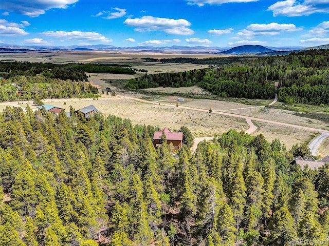 1424 Bluestem Way, Fairplay, CO 80440 - bird's eye view of mountains