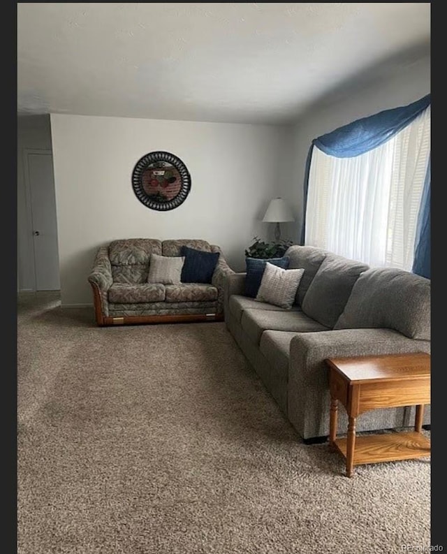 3905 Nelson St, Wheat Ridge, CO 80033 - view of carpeted living area