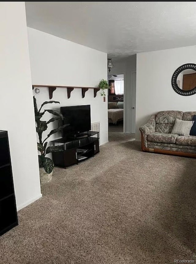 3905 Nelson St, Wheat Ridge, CO 80033 - view of carpeted living area
