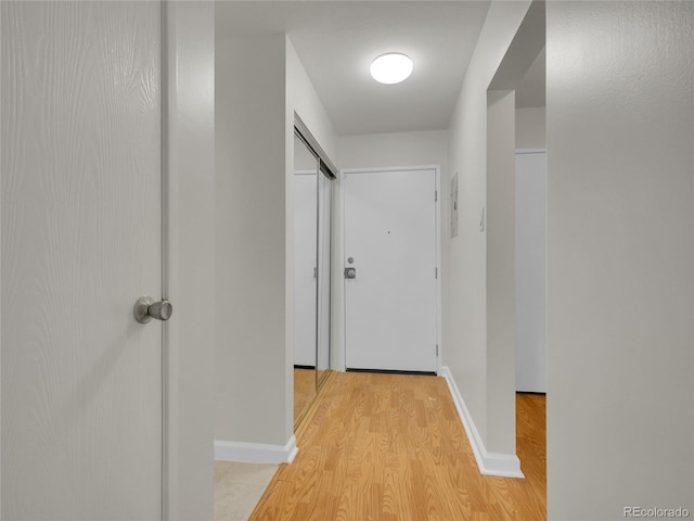 3144 S Wheeling Way Unit 206, Aurora, CO 80014 - hall with light wood finished floors and baseboards