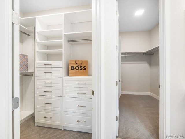 6096 W Keene Ave, Denver, CO 80235 - spacious closet featuring light colored carpet