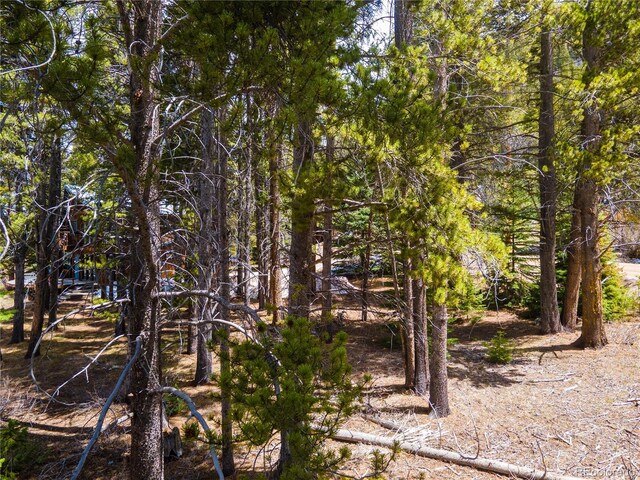 623 Blue River Rd, Breckenridge, CO 80424 - photo 6