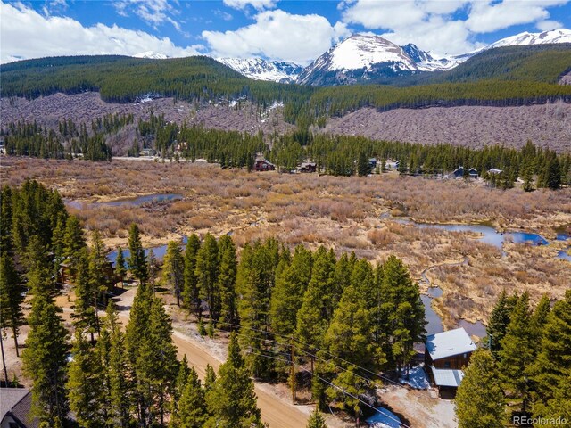 623 Blue River Rd, Breckenridge, CO 80424 - photo 8