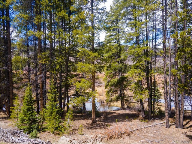 623 Blue River Rd, Breckenridge, CO 80424 - photo 9