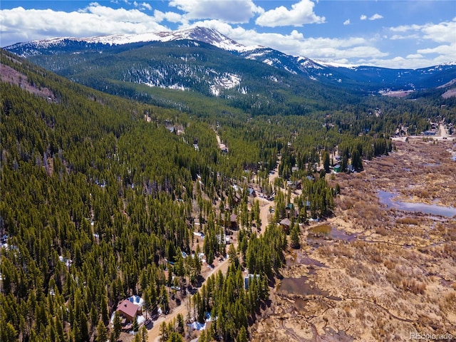 623 Blue River Rd, Breckenridge, CO 80424 - photo 10