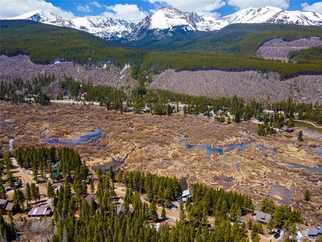 623 Blue River Rd, Breckenridge, CO 80424 - photo 11