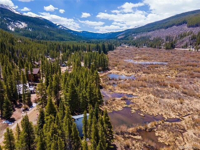 623 Blue River Rd, Breckenridge, CO 80424 - photo 12