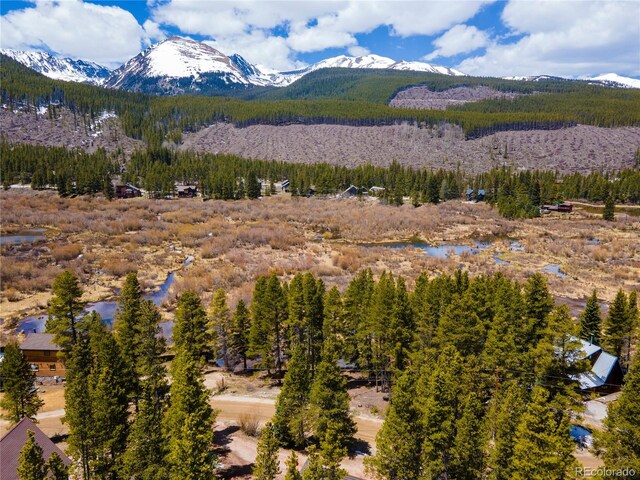 623 Blue River Rd, Breckenridge, CO 80424 - photo 14