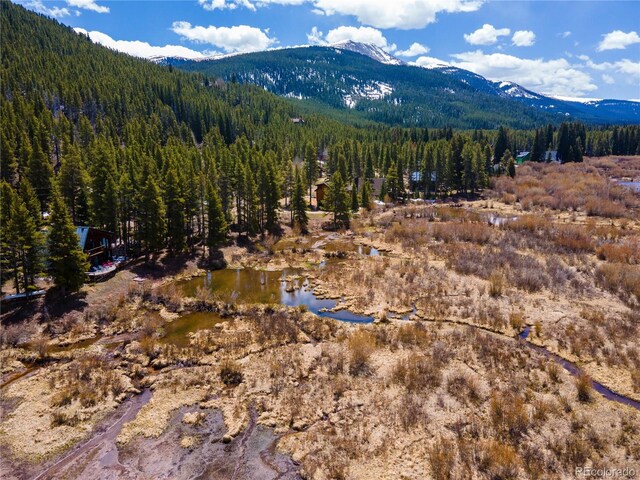 623 Blue River Rd, Breckenridge, CO 80424 - photo 16