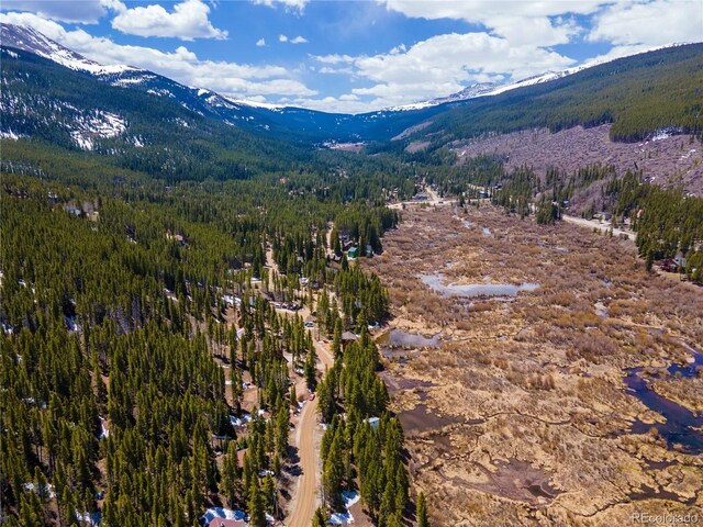 623 Blue River Rd, Breckenridge, CO 80424 - photo 18