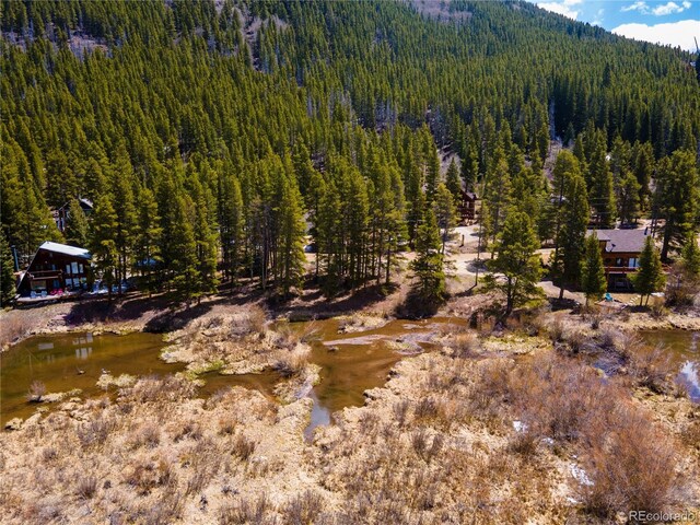 623 Blue River Rd, Breckenridge, CO 80424 - photo 19