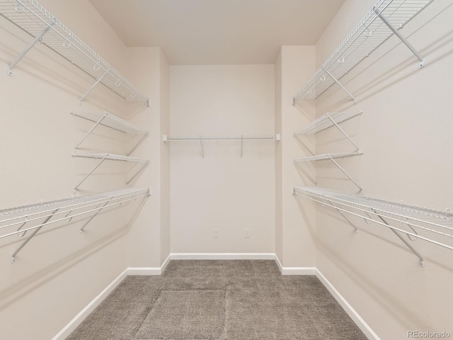 4561 Hope Cir, Broomfield, CO 80023 - walk in closet featuring carpet flooring