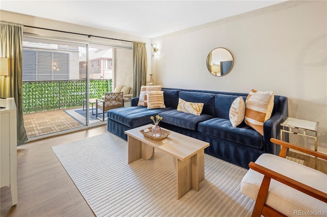 living room with light hardwood / wood-style floors