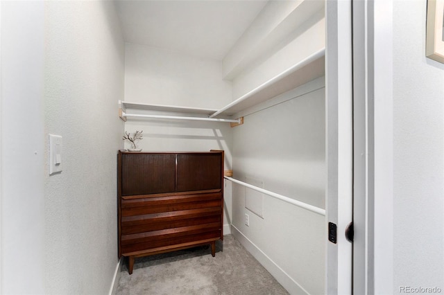 spacious closet featuring carpet