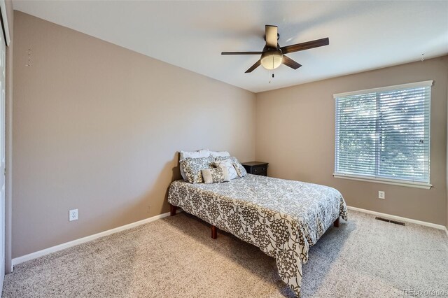 2865 S Yampa Way, Aurora, CO 80013 - photo 19