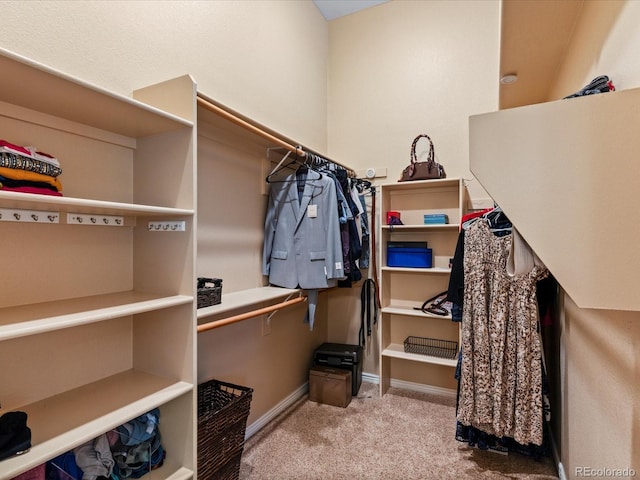 885 Sage Sparrow Cir, Highlands Ranch, CO 80129 - walk in closet with carpet