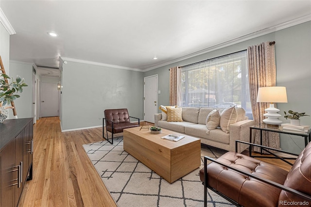 living room featuring ornamental molding and light hardwood / wood-style flooring