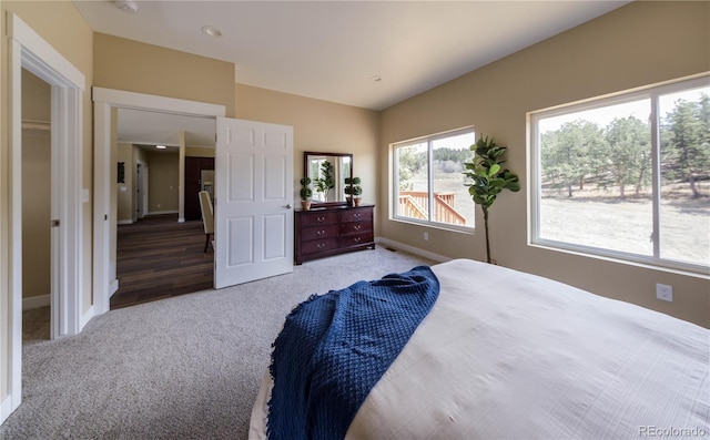 view of carpeted bedroom