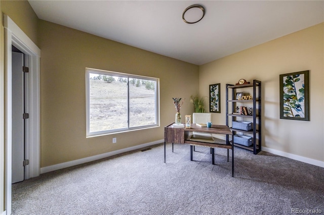 view of carpeted home office