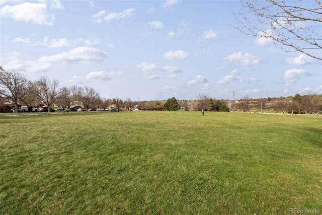 view of yard