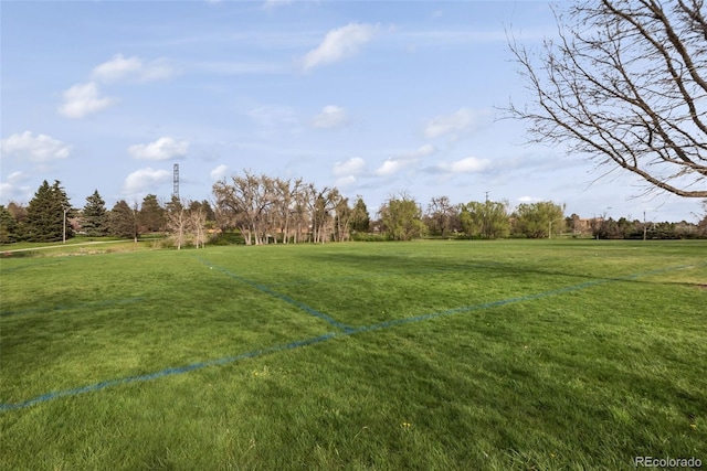 view of yard