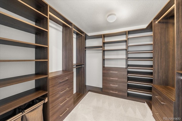 405 N Old Hammer St, Aurora, CO 80018 - photo 13