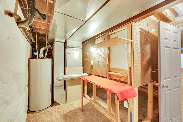 3163 E 133rd Ave, Thornton, CO 80241 - utilities with water heater