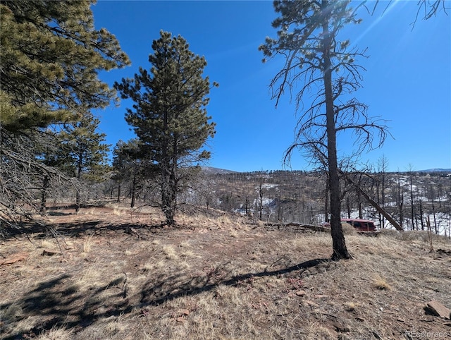 659 Richard Dr, Fort Garland, CO 81133 - photo 2
