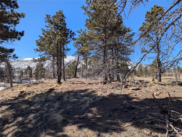 659 Richard Dr, Fort Garland, CO 81133 - photo 3
