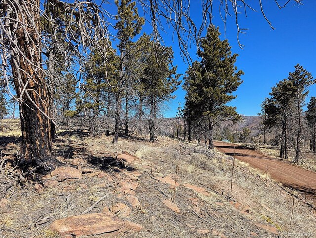 659 Richard Dr, Fort Garland, CO 81133 - photo 4