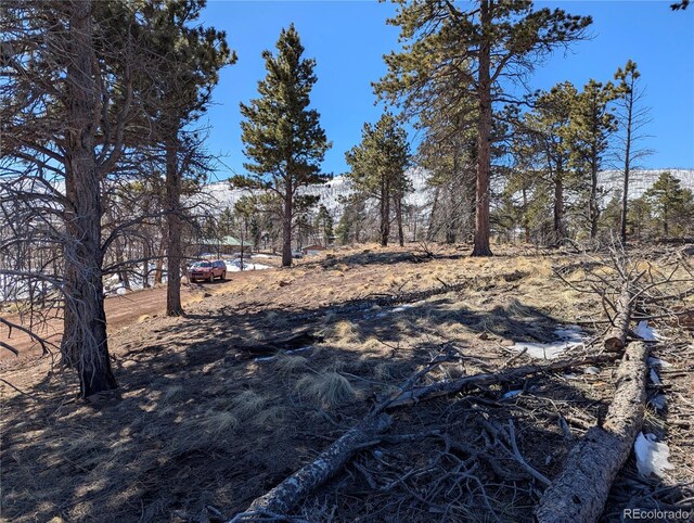 659 Richard Dr, Fort Garland, CO 81133 - photo 8