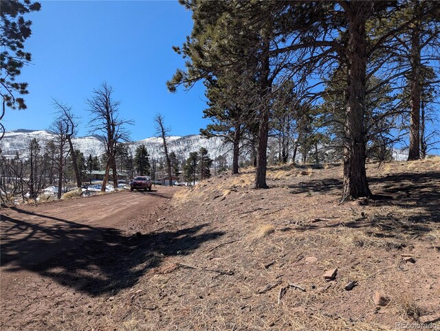 659 Richard Dr, Fort Garland, CO 81133 - photo 10